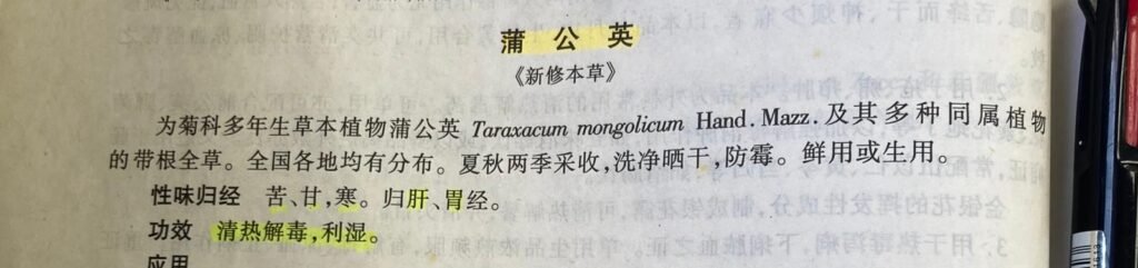 蒲公英在中藥學中的記載