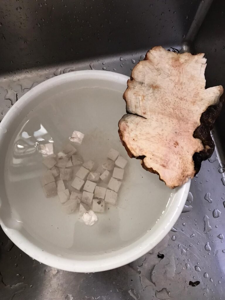 土茯苓、茯苓用清水浸泡