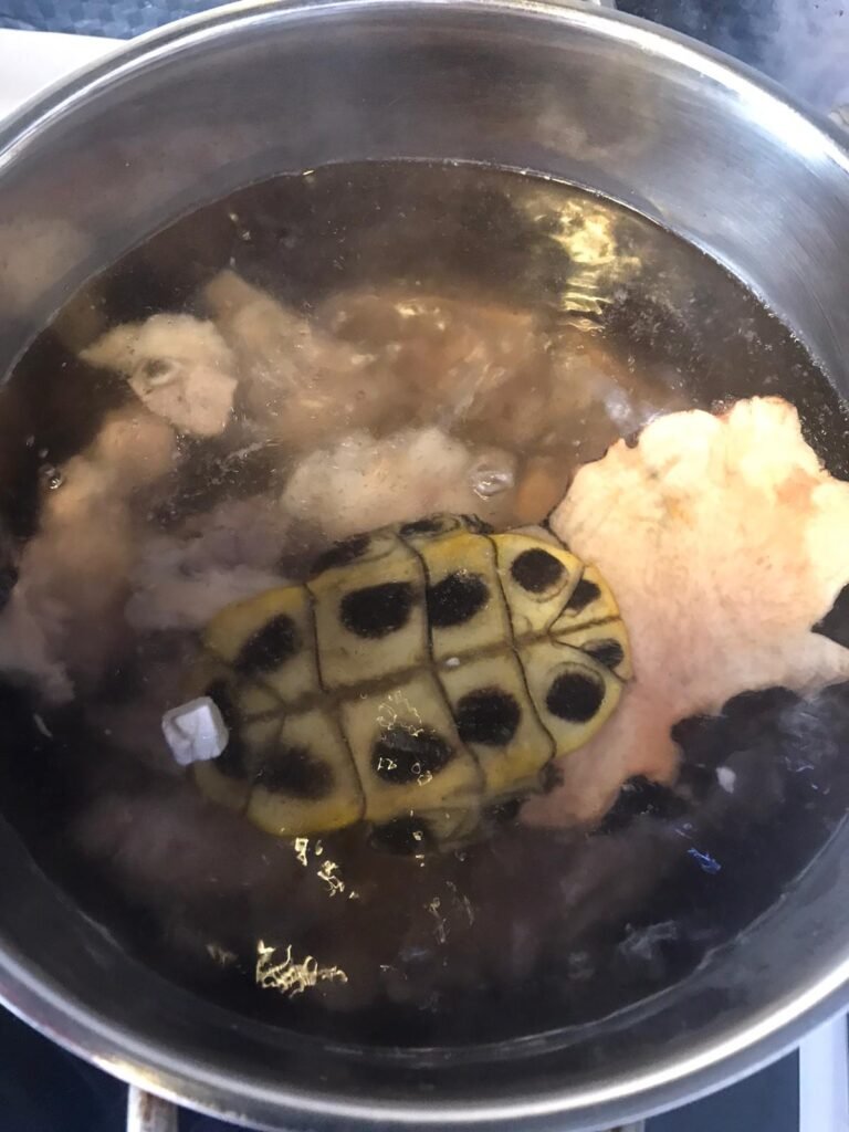 在翻滾中的龜板土茯苓湯
